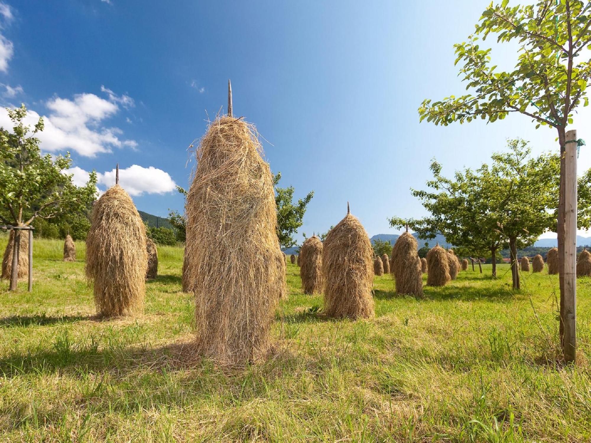 Gaestehaus Weissenbacher-Ferienwohnungen มาร์ควาร์ทชไตน์ ภายนอก รูปภาพ