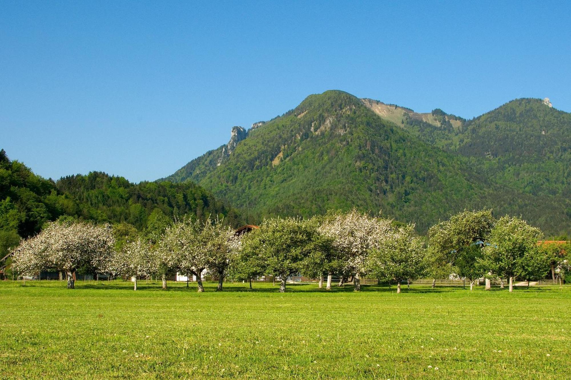 Gaestehaus Weissenbacher-Ferienwohnungen มาร์ควาร์ทชไตน์ ภายนอก รูปภาพ