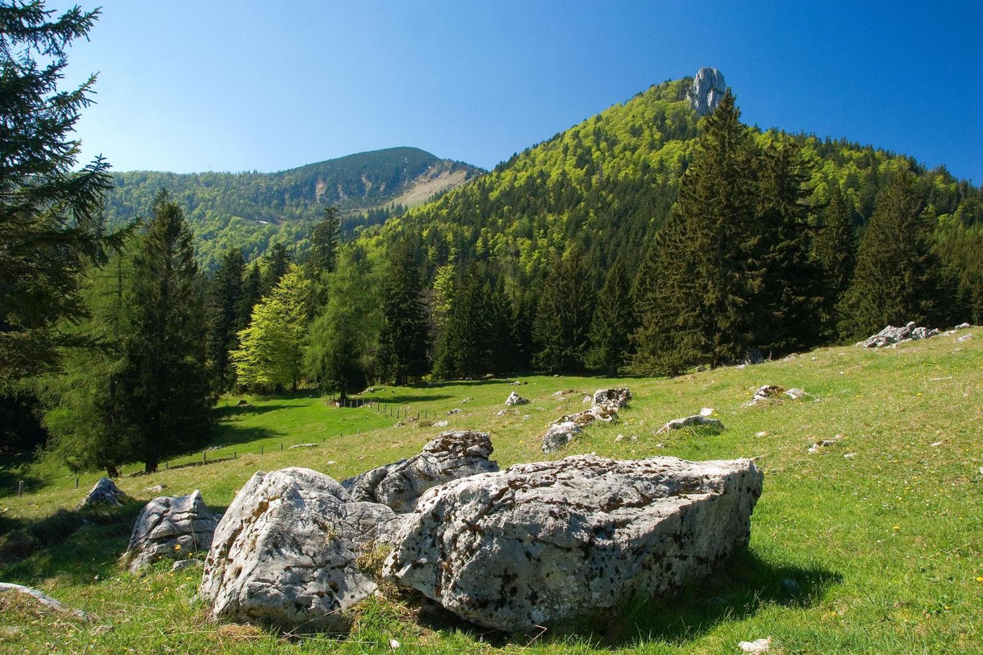 Gaestehaus Weissenbacher-Ferienwohnungen มาร์ควาร์ทชไตน์ ภายนอก รูปภาพ
